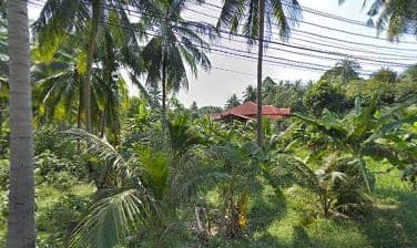 ร้านข้าวต้มโจ๊ก(อริสรา) in CXF5+872, Taling Ngam, Ko Samui District, Surat Thani 84140