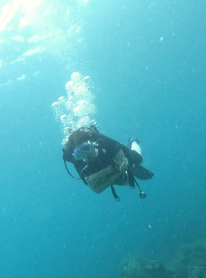 Member Diving - Snorkeling & Scuba Diving Center in 158, 6, Bo Put, Amphoe Ko Samui, Surat Thani 84320, Thailand
