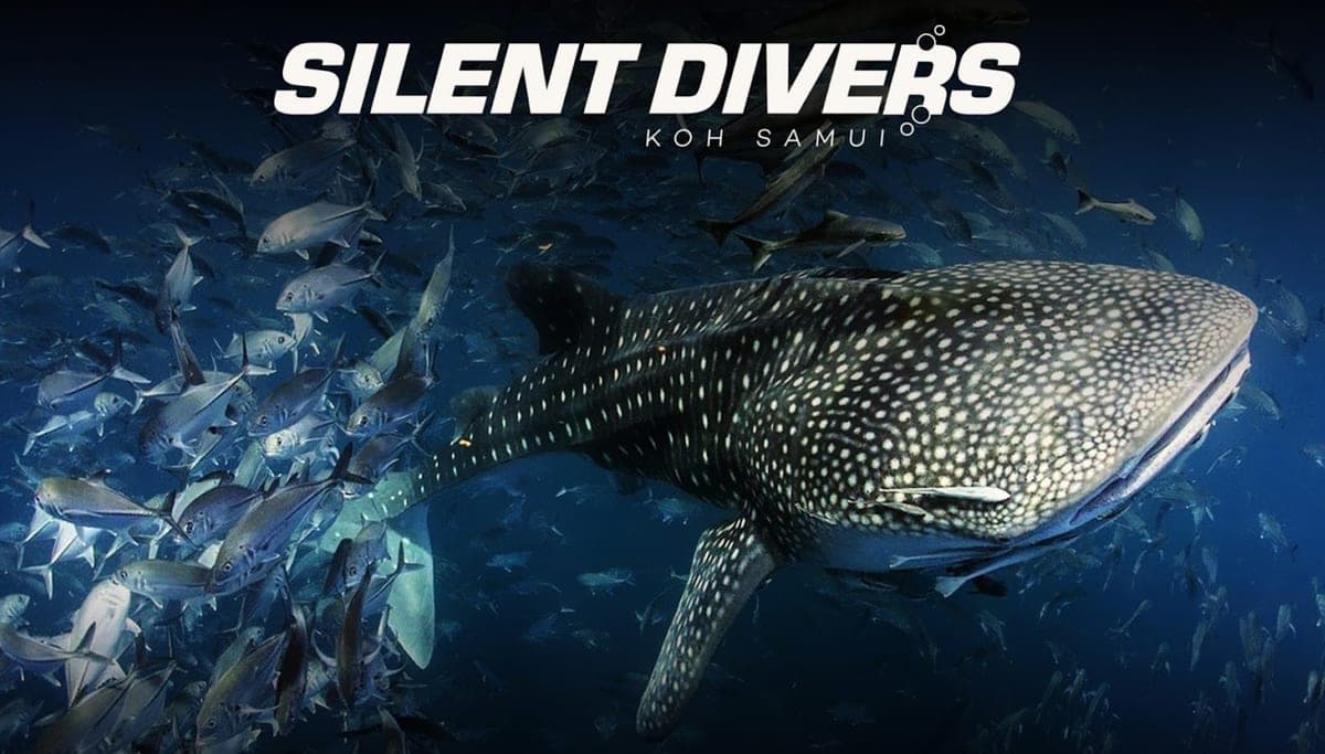 Silent Divers in 39 Chaweng Beach Rd, Tambon Bo Put, Amphoe Ko Samui, Surat Thani 84320, Thailand